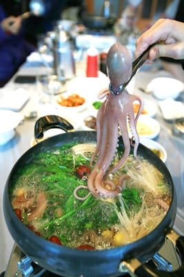 ▲세발낙지 연포탕/사진=전남도청 제공