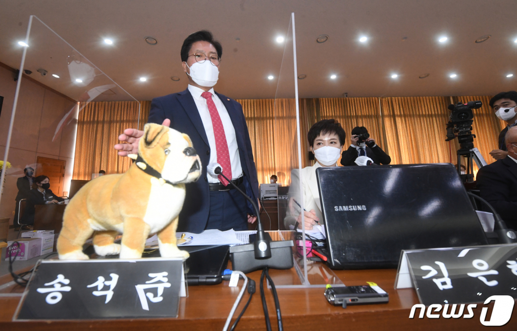 송석준 국민의힘 의원이 20일 경기도 수원시 팔달구 경기도청에서 열린 국회 국토교통위원회의 경기도청에 대한 국정감사에서 대장동 개발을 공공의 탈을 쓴 개발이라고 주장하며 양의 탈을 쓴 개 인형을 만지고 있다. /사진=뉴스1