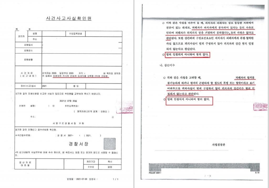 A씨 사건사고 사실 확인원 일부. /사진=한국성범죄무고상담센터 페이스북