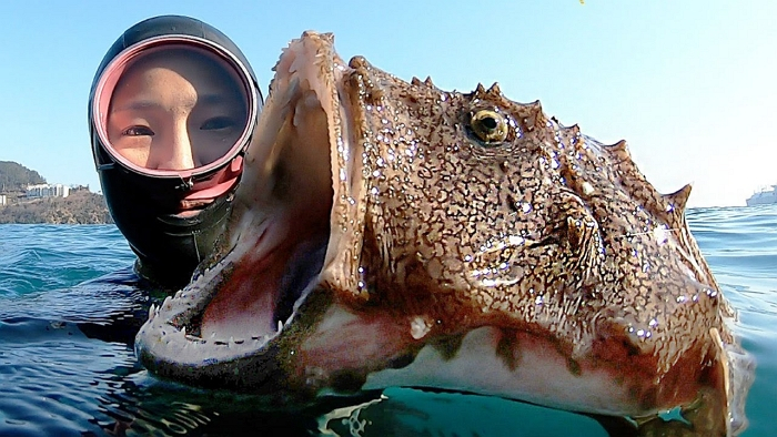 /사진=유튜브 '요즘해녀'