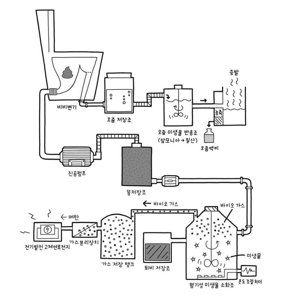 인분이 바이오 연료와 전기 에너지 등으로 전환되는 과학적 원리. / 사진=울산과학기술원(UNIST)