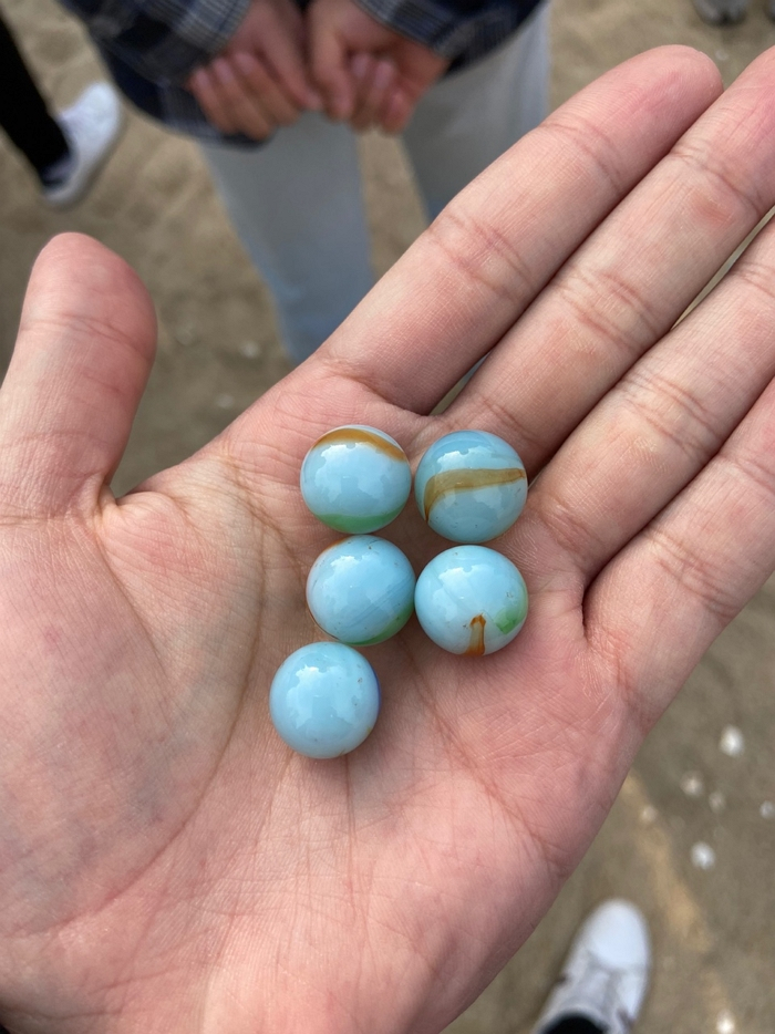 /사진=전형주 기자 jhj@