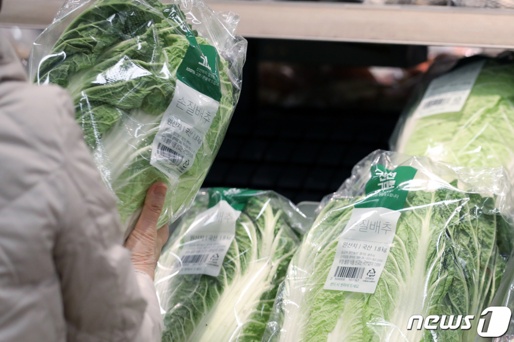 지난달  21일 서울 시내의 한 대형마트에서 한 시민이 배추를 살펴보고 있다. /사진=뉴스1