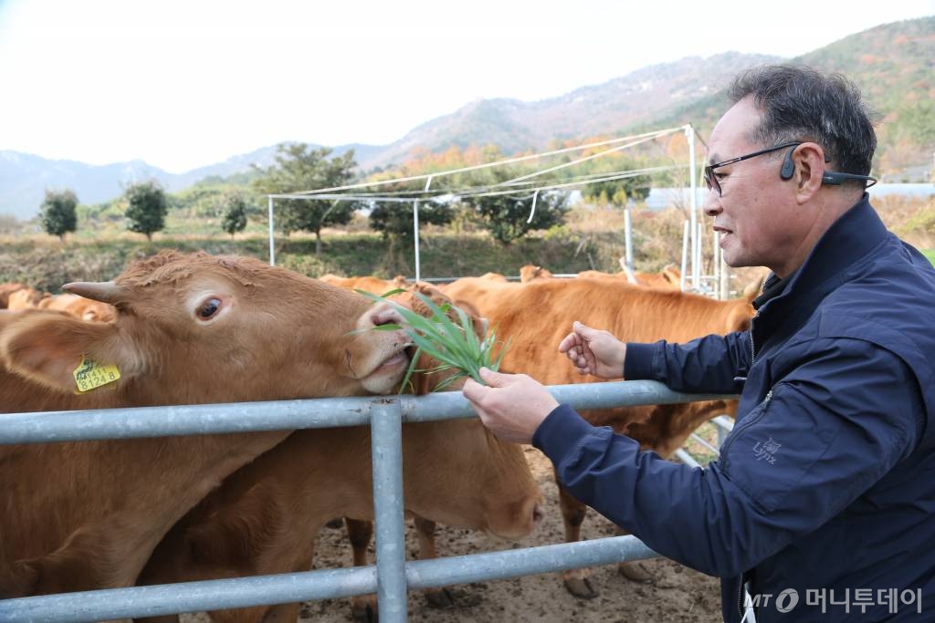 해남 만희농장 /사진=정혁수