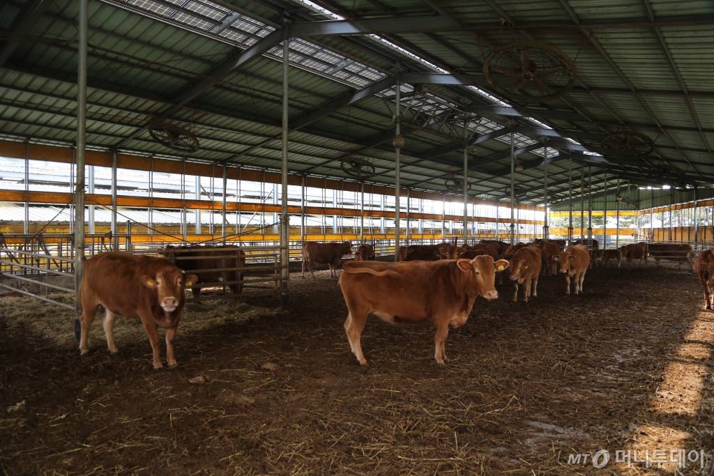 해남 만희농장 /사진=정혁수