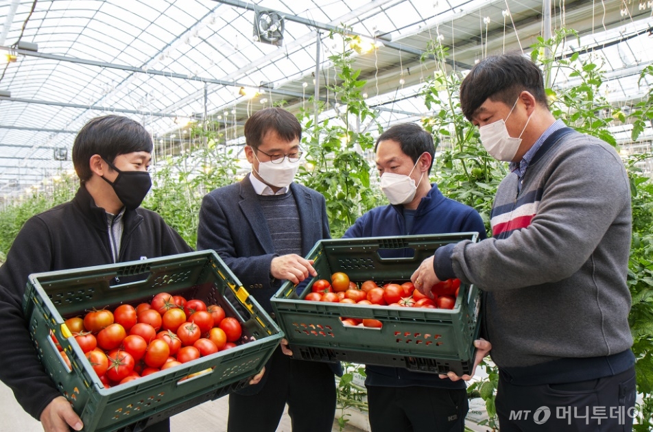 충남 논산시 광석면에 위치한 농업회사법인 '팜팜'에서 양광식 대표(왼쪽에서 네 번째)와 김홍원 신세계푸드 농산팀장(왼쪽에서 두 번째)이 노브랜드 버거 재료로 쓰일 토마토의 품질에 대해 이야기를 나누고 있다./사진제공=신세계푸드