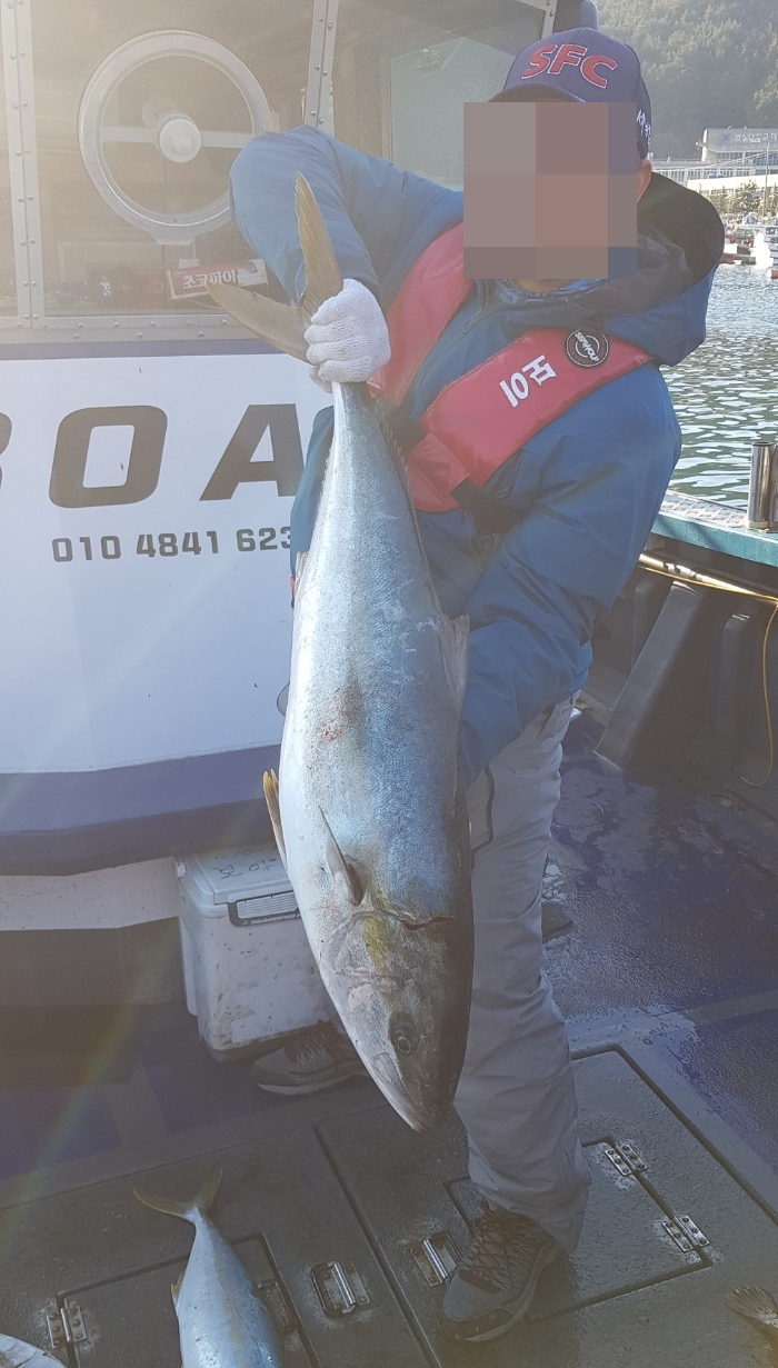 이 정도 크기는 돼야 '대방어' 소리 듣는다. /사진=최우영 기자