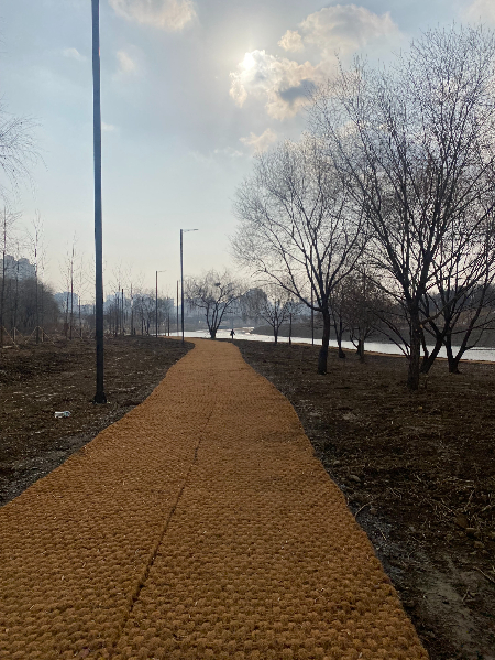 달리며 이런 저런 풍경들을 마주하는 게 기쁨이었다. 시원스런 겨울길의 모습./사진=뛰다 힘들어 걷고 있는 남형도 기자