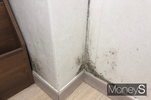 본문 내용과 관련 없는 이미지입니다/사진=머니S