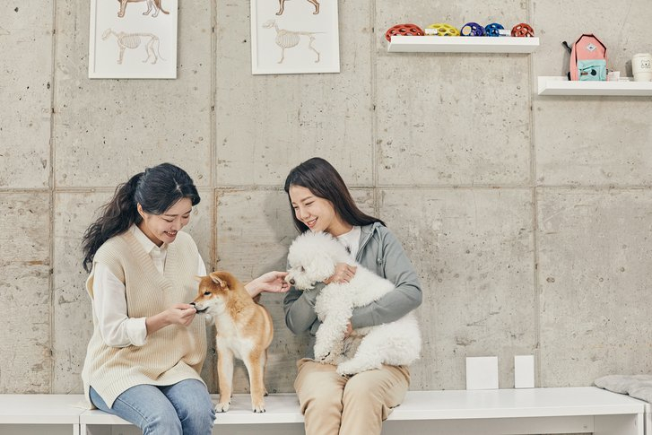 /사진=게티이미지뱅크