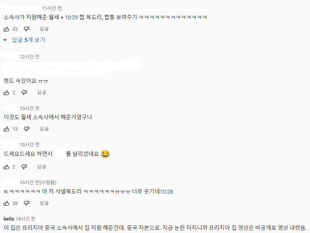 사진=유튜브 댓글 캡처