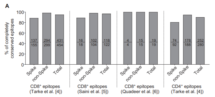 최초 코로나19와 오미크론 변이에서 T세포 항원결정기(Epitopes)가 사실상 그대로 유지하고 있는 연구 결과. 이는 코로나19 백신으로 만들어진 T세포가 오미크론을 잡을 수 있다는 의미다. / 사진=세포·분자면역학(Cellular & molecular immunology)