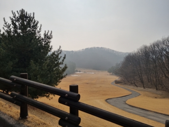 ▲기흥cc는 홀과 홀마다 아름드리 나무가 빽빽하게 들어차 있어 독립적인 분위기를 자아낸다./사진=임윤희 기자