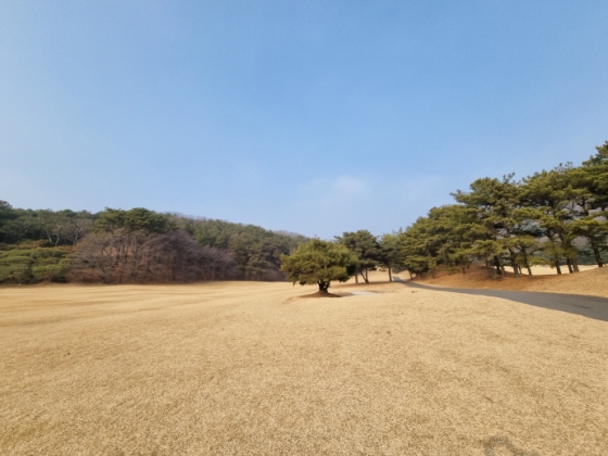 ▲개장한 지 30여 년이 지난 골프장이라 클럽하우스부터 잔디와 페어웨이 나무들까지 연륜이 느껴진다. /사진=임윤희 기자