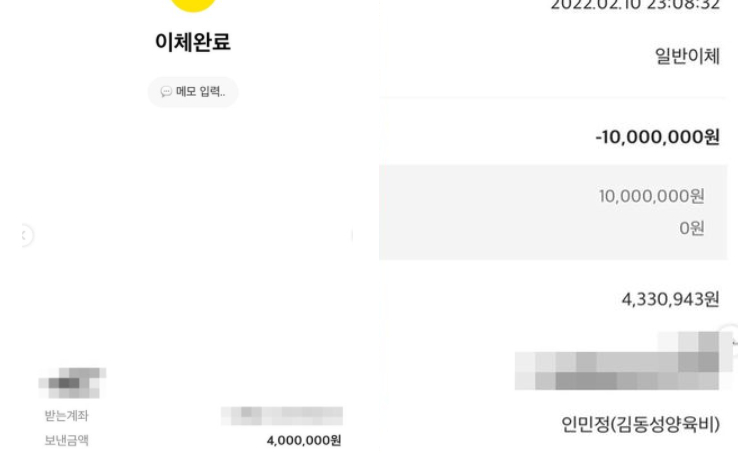 인민정이 공개한 1400만원 양육비 이체내역/사진=인민정 인스타그램 캡처