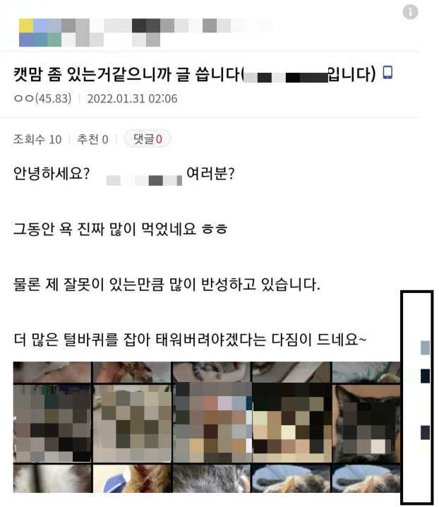 고양이를 산 채로 불태우고 온라인 커뮤니티에 해당 영상을 올린 작성자는 학대에 대한 비판이 제기되자 "더 많은 고양이를 잡아 태워야겠다"고 글을 올렸다./사진제공=동물권단체 카라