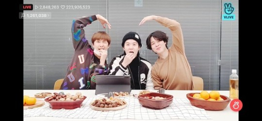 /사진=방탄소년단 브이라이브 채널 영상