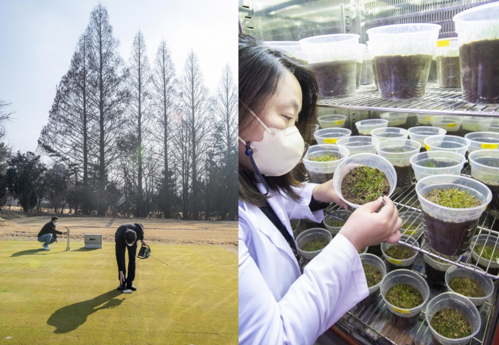 삼성물산 리조트부문 잔디환경연구소 연구원들이 드론과 각종 장비를 활용해 골프장 품질을 점건하는 모습(왼쪽)과 김경덕 연구소장이 각 잔디별 생육을 점검하는 모습. /사진제공=삼성물산