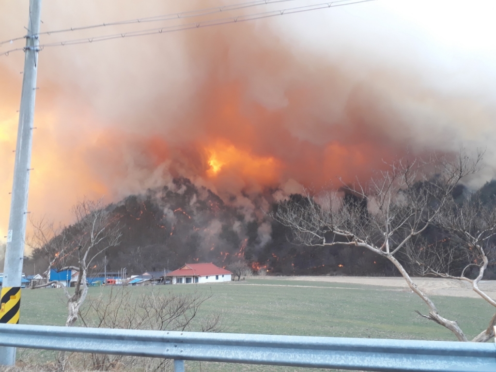 울진 산불 이재민 박모씨의 남편 김모씨가 화재가 시작된 4일 오전 11시30분쯤 촬영한 화재 현장. /사진=독자 제공