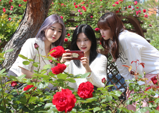 실외 마스크 의무 해제 첫날인 2일 대구 영진전문대에서 마스크를 벗은 학생들이 계절의 여왕 5월을 맞아 자태를 뽐내는 장미를 감상하고 있다./사진=뉴스1