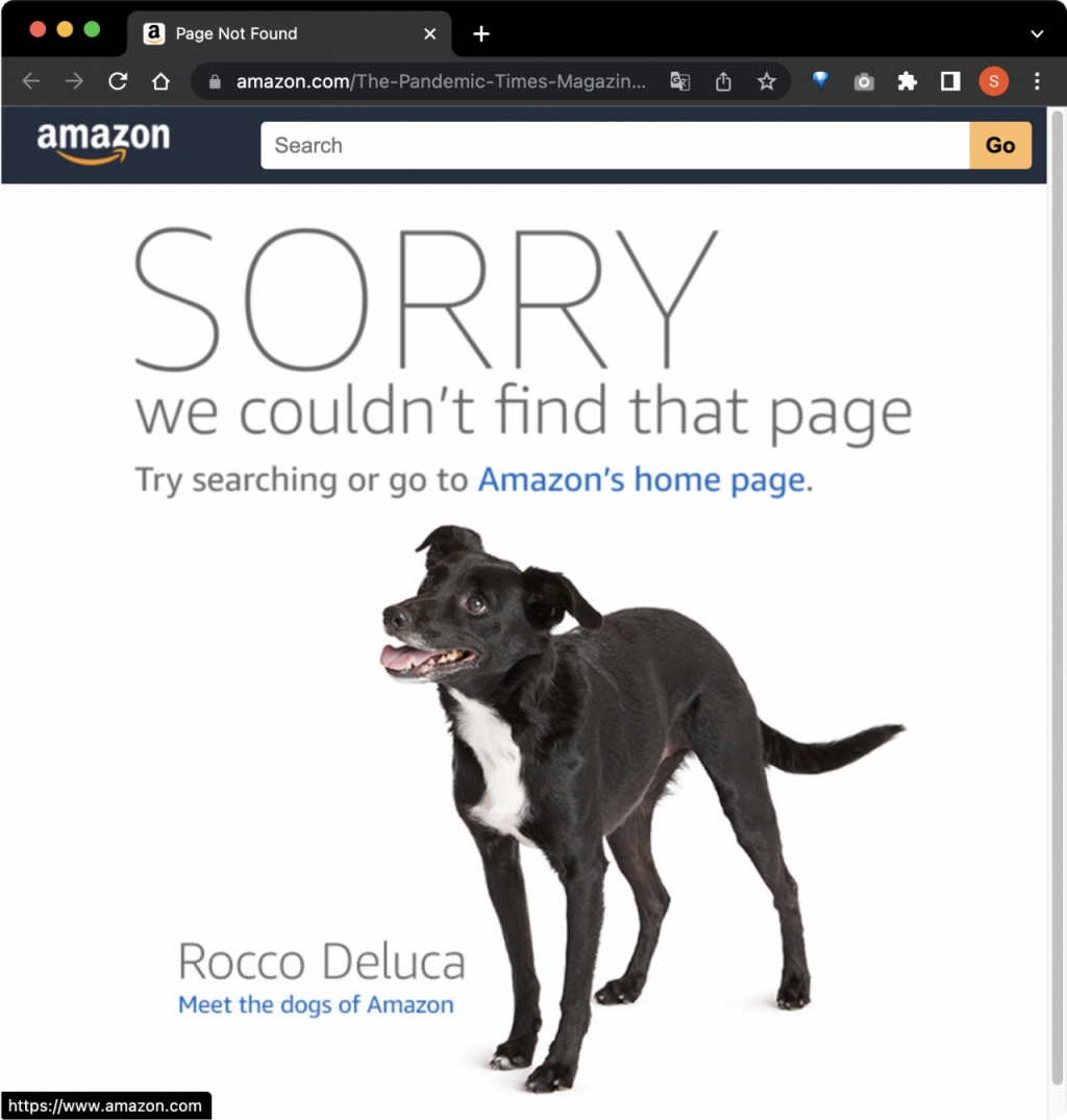 팬데믹 타임즈 매거진의 아마존닷컴 판매 페이지에 6일 밤 8시30분 접속을 시도했을 때 나온 오류 페이지./사진=아마존닷컴