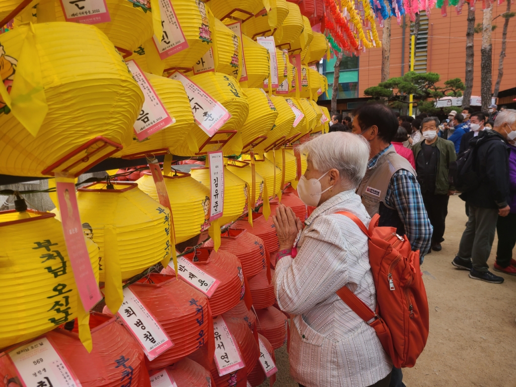 8일 오전 서울 종로구 조계사에서 한 시민이 등 앞에서 기도를 하고있다. /사진=하수민기자