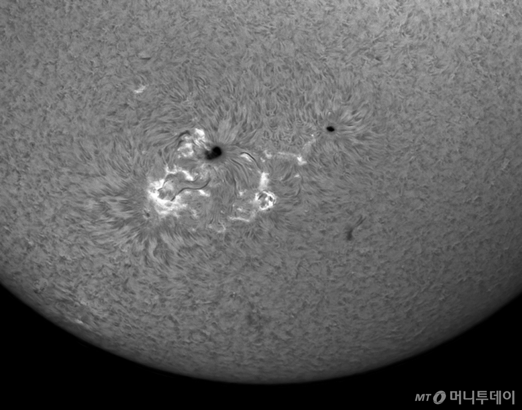 태양의 흑점을 촬영한 사진으로 흑점 주변의 다양한 역동적인 모습을 볼수 있는 사진이다. 흑점은 물론 백반, 필라멘트, 홍염 등이 표현됐다. /사진제공=한국천문연구원