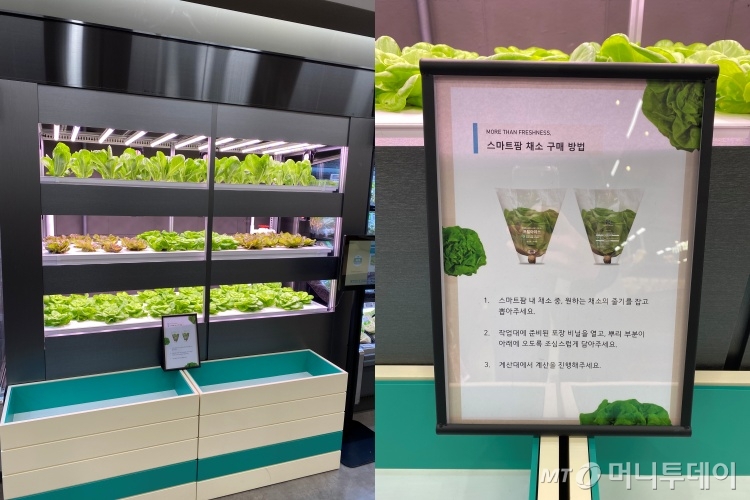 홈플러스 메가푸드마켓(Mega Food Market) 8호점 방학점의 도시형 스마트팜 '시티팜' 코너. /사진=홈플러스