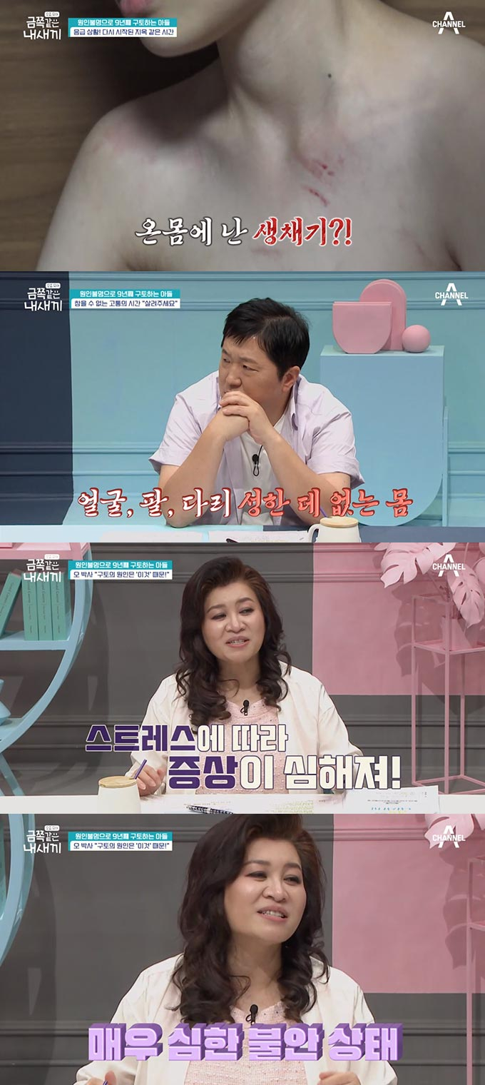 /사진=채널A' 금쪽 같은 내새끼' 방송 화면 캡처