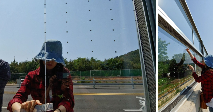 유리 방음벽에 새 충돌 방지 스티커를 부착하는 시민들. 새들이 비행을 시도하지 않는 공간인, 5X10cm 간격을 따라 점을 찍거나 스티커를 붙여주면, 새가 충돌하는 사례를 93% 줄일 수 있단다./사진=녹색연합