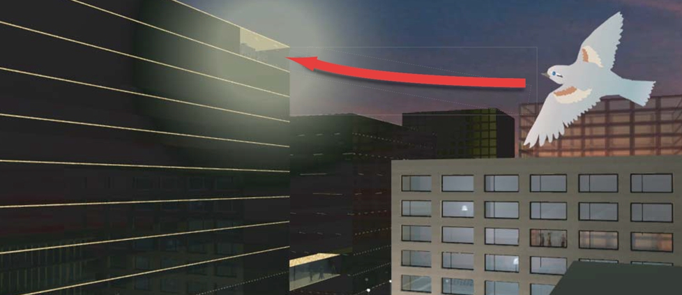 새들이 비행하다가 유리창에 충돌하는 이유는 투명성, 반사성, 야간 조명 때문이다./사진=녹색연합