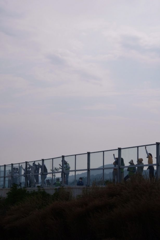 국도변 방음 유리벽에 스티커를 붙이는 '새 친구'들./사진=녹색연합