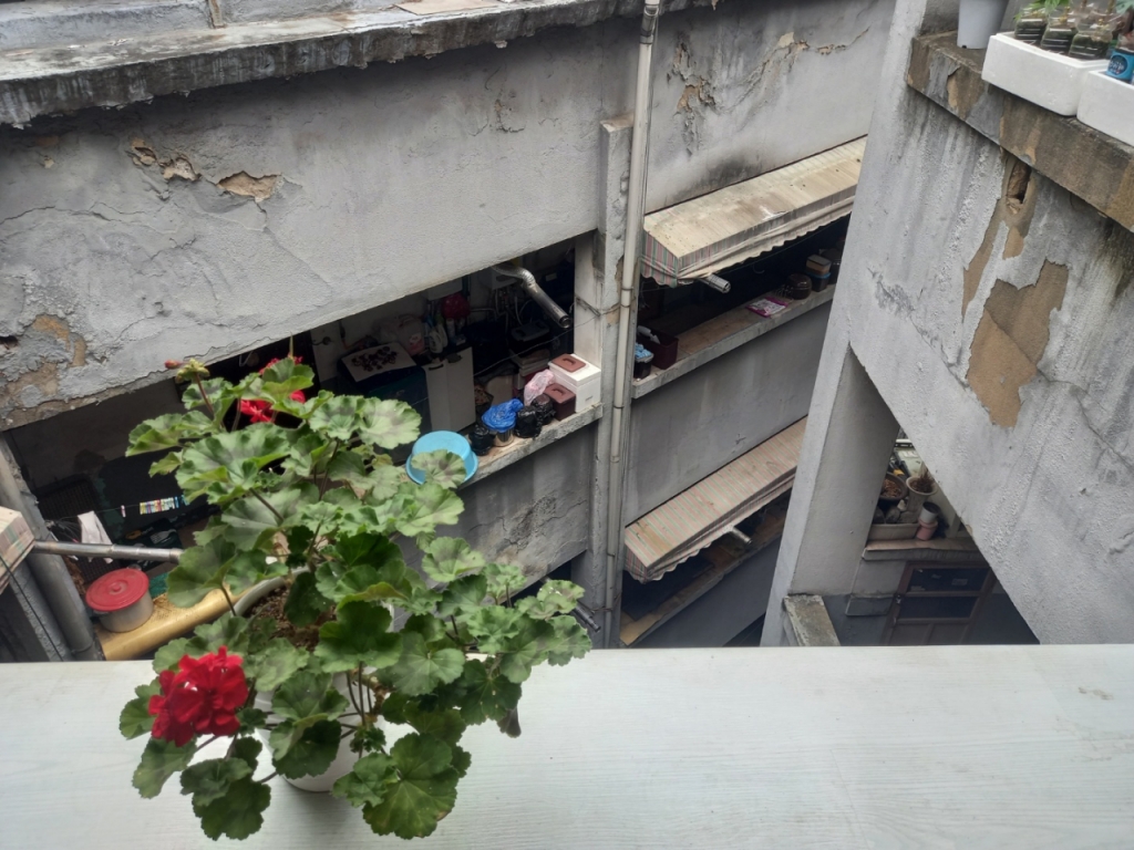 19일 오전 서울 서대문구 충정아파트 모습. 건물 한가운데 공터를 주변으로 입주민들이 화분, 장독대 등을 놓고 살고 있다./사진=김성진 기자