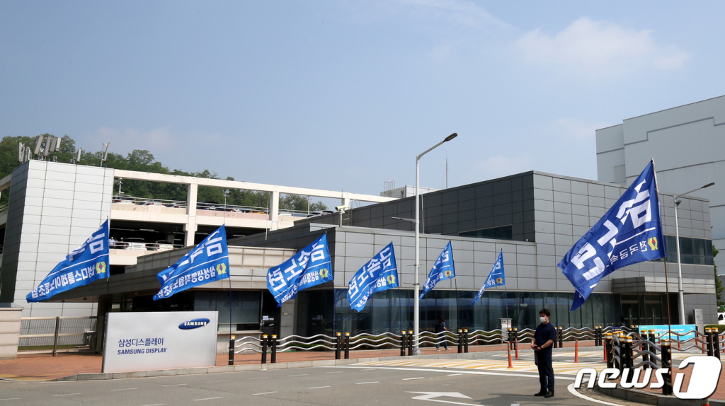 지난해 5월18일 오후 충남 아산 삼성디스플레이 제2캠퍼스 정문앞에서 삼성디스플레이노조원들이 규탄대회를 열었다. 삼성디스플레이 정문 일대에 노조기가 휘날리고 있다./사진=뉴스1