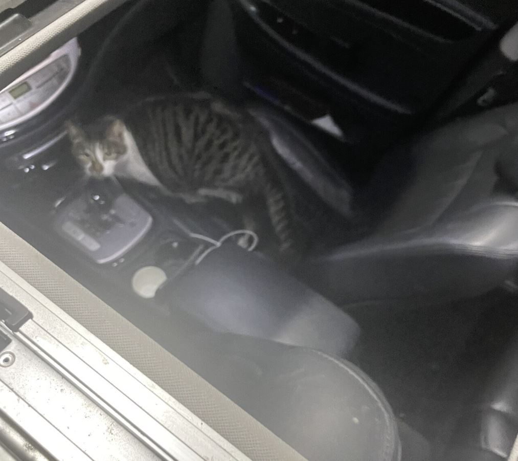 사진=온라인 커뮤니티