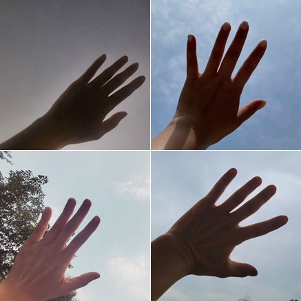 왼쪽 위부터 시계 방향으로 뮤지컬 배우 신영숙, 정선아, 이건명, 최유하가 게재한 사진./사진=각 배우 인스타그램