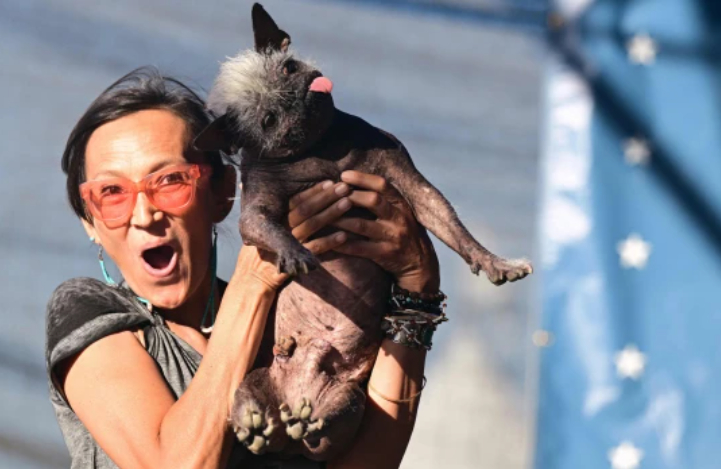 '2022 세계에서 가장 못생긴 개' 대회에서 1등을 차지한 '미스터 해피 페이스'(17)와 주인 제네다 베널리(41)/AFPBBNews=뉴스1