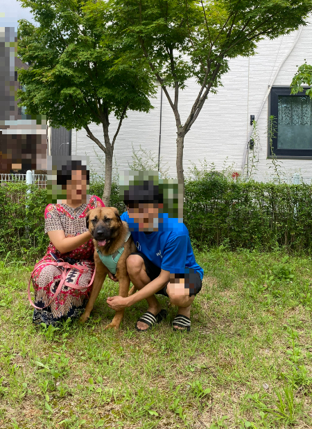 인천 계양산 개 농장서 태어나, 시민들에게 구조돼 '아크 보호소'에서 살다가, 이젠 엄마와 아빠를 만나 가족이 된 '체리'. 12일 오후, 집 앞 공원에 산책을 나온 이들의 '가족 사진'을 찍어주었다./사진=남형도 기자