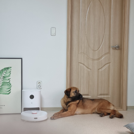 집 안에서 처음 살게된 체리는 왕 소심이지만, 호기심이 많아 천천히 적응하고 있다./사진=체리 보호자님 제공