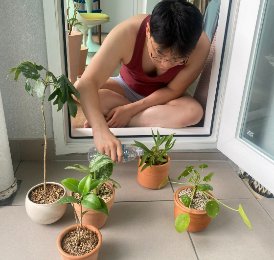 집에서 키우는 초록잎 친구들. 바라보는 건 쉽고 좋지만, 살뜰히 챙기는 건 어렵다./사진=남형도 기자 아내