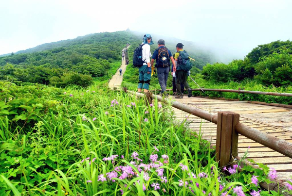 지리산 노고단의 여름/사진=뉴시스