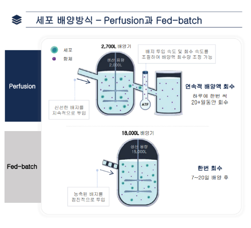 에이프로젠의 연속 배양방식과 유가식 배양방식 비교