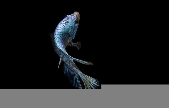 /사진=픽사베이