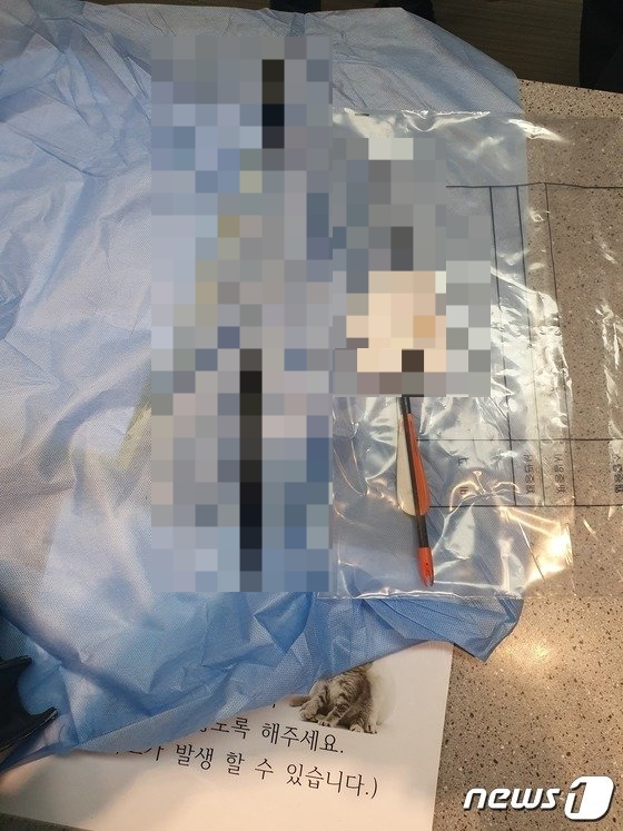 제주도에서 개 몸을 관통했던 화살. 수술 후 보니 길이가 약 70cm에 달했다. /사진제공=제주시/사진=뉴스1
