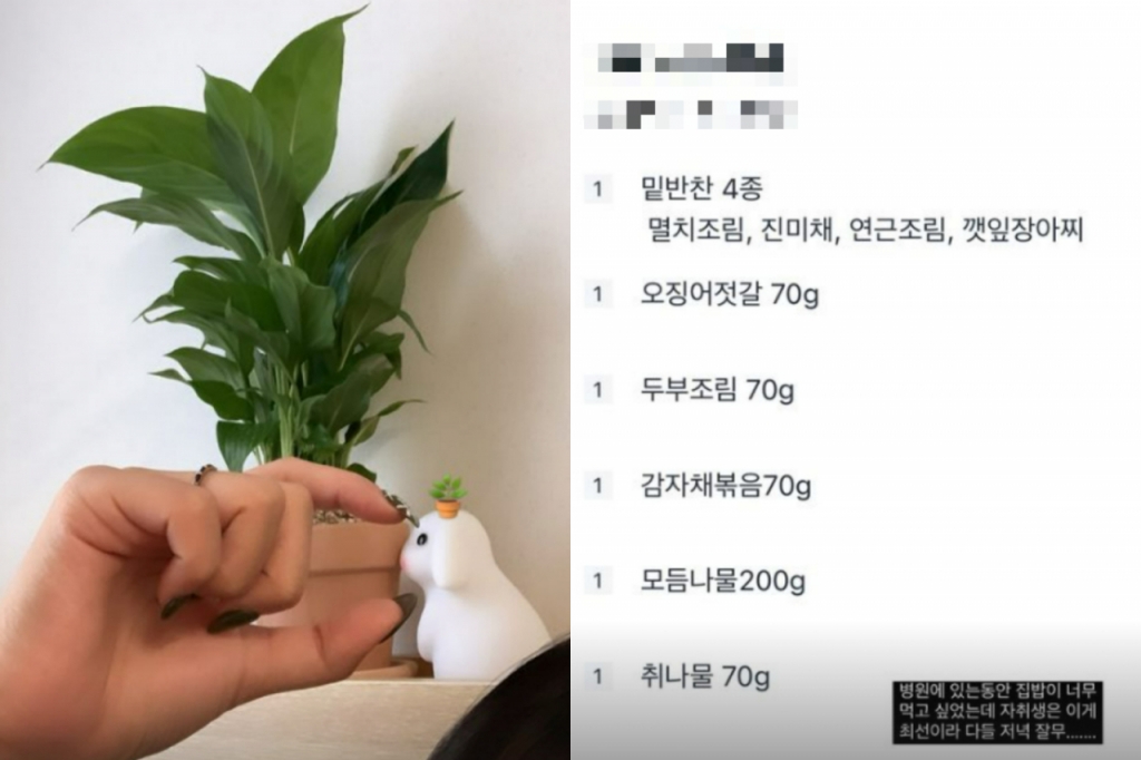 /사진=최준희 인스타그램 캡처
