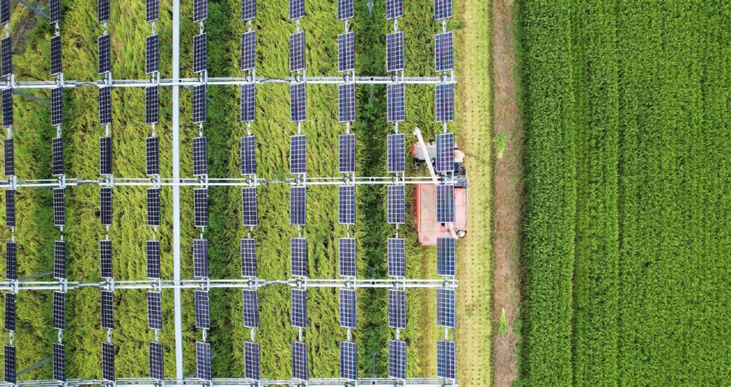 하늘에서 내려다 본 기동마을 영농형태양광 발전소 /사진=한화큐셀
