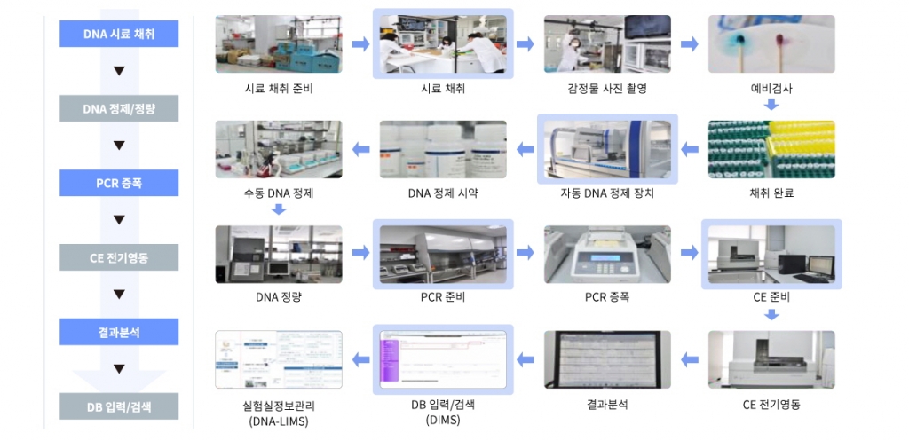 현재 우리나라 국립과학수사연구원은 '40억분의 1g'에 해당하는 0.25ng(나노그램, 1ng=10억분의 1)만 있어도 DNA를 증폭시켜 분석할 수 있다. / 사진제공=국립과학수사연구원
