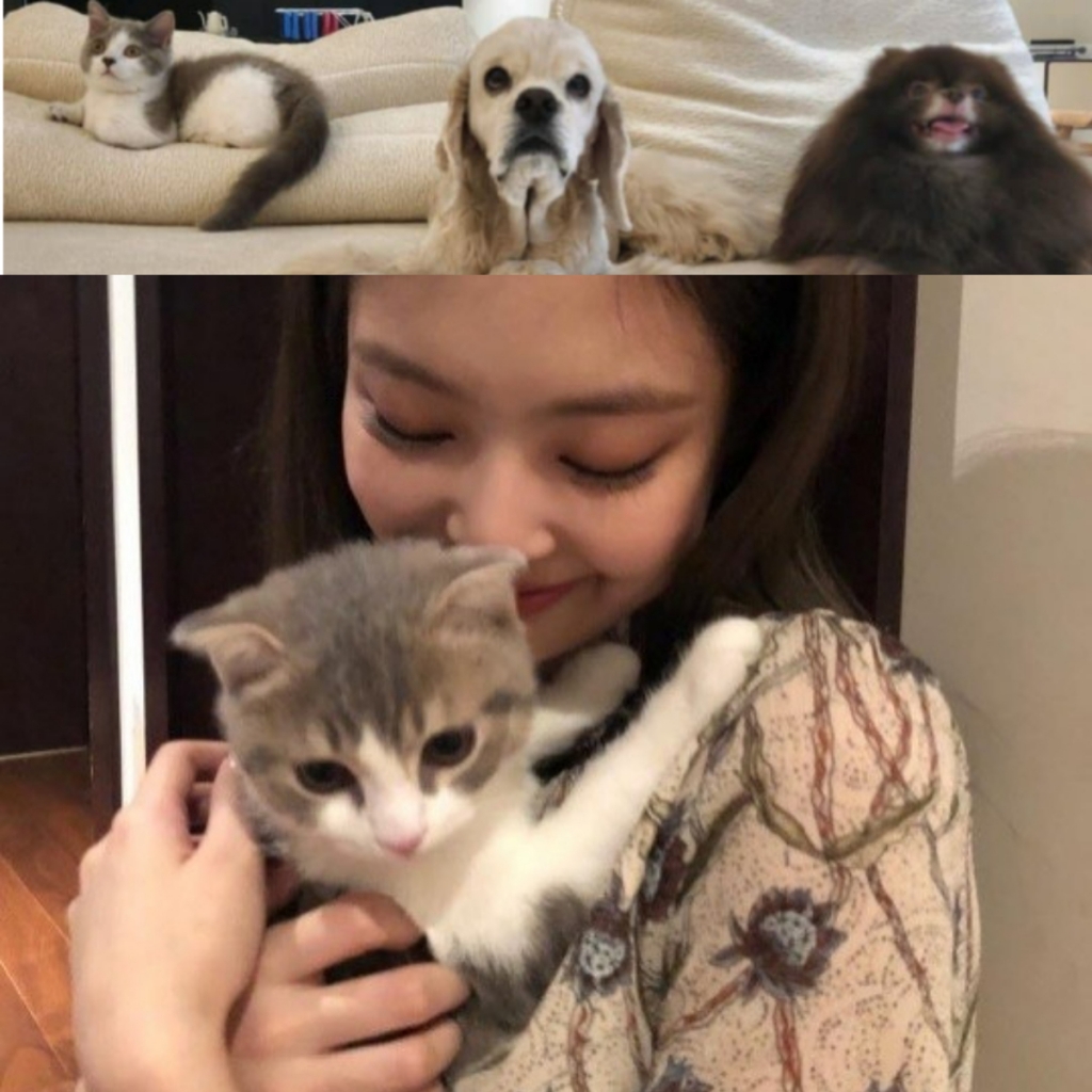 /사진=온라인 커뮤니티, 제니 인스타그램 캡처