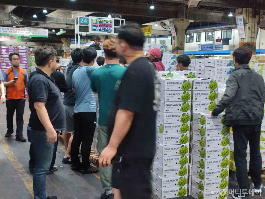 6일 오전 서울 송파구 가락동 농수산물 도매시장 가락과일 시장에서 경매가 진행 중이다. /사진=정세진 기자 