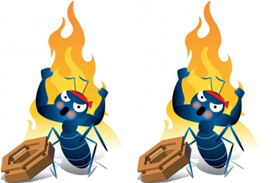 이미지=임종철 디자인 기자